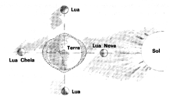 Atração simultânea do Sol e Lua sobre os mares, provocando as marés !