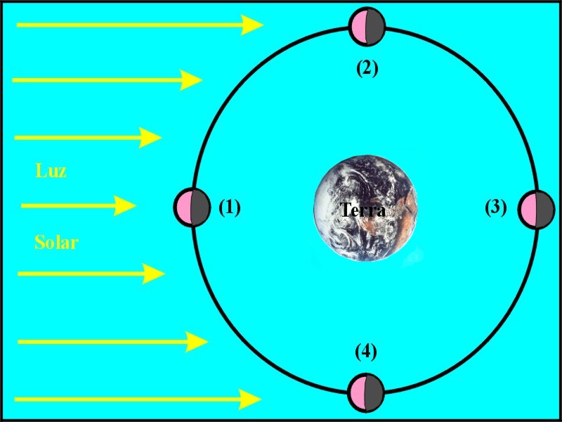 Representao esquemtica das fases da lua em sua trajetria em torno da Terra.